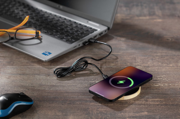 Inductive charger FRESTI