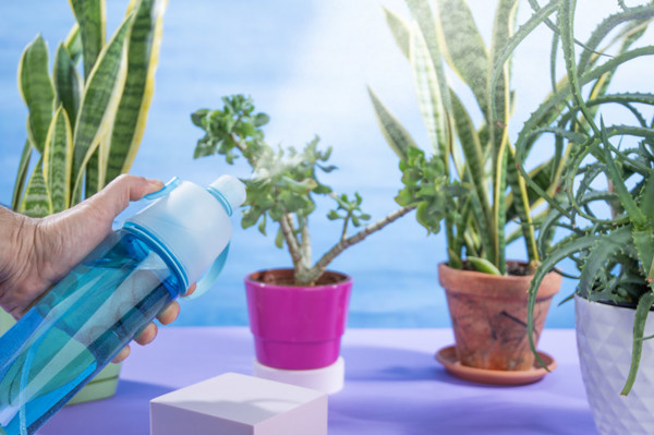 Sprinkler bottle SPRAY 600 ml