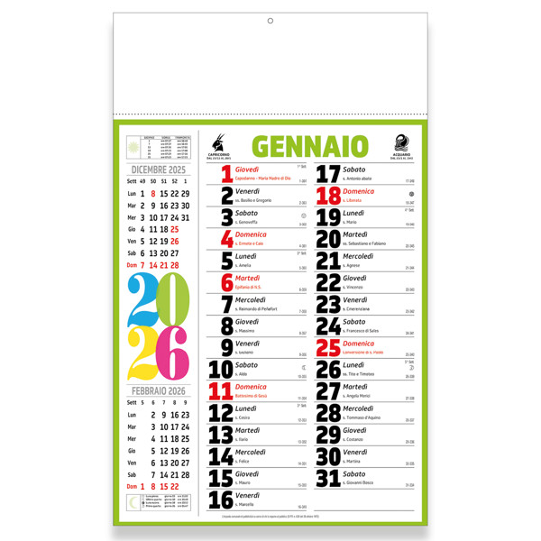 Calendario 2026 Da Muro Mensile Multicolore,12 Fogli, Su Carta Patinata, Termosaldato