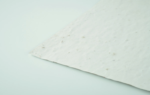Papel sementes de flores A4 Asidi
