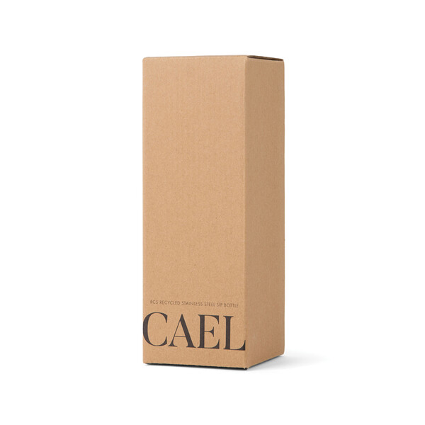 VINGA Cael RCS SS sip bottle 600ML - White