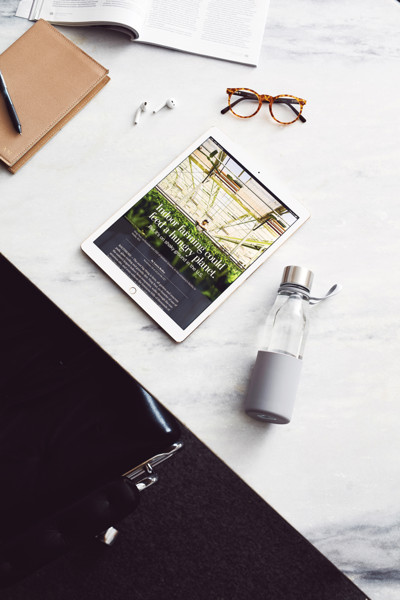 Vinga Lean bottle borosilicate glass, silicone - Grey