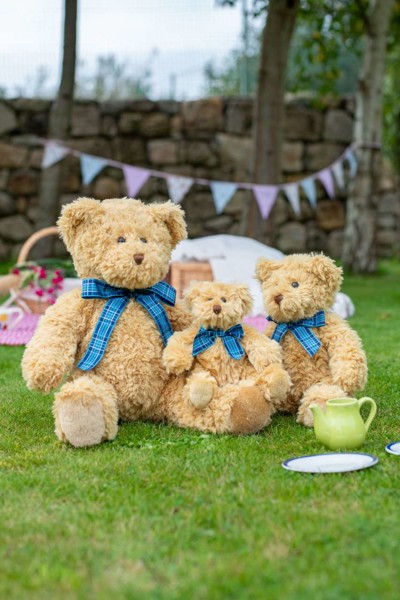 Mumbles Bracken Bear - S
