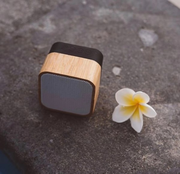 Bamboo bluetooth speaker #2