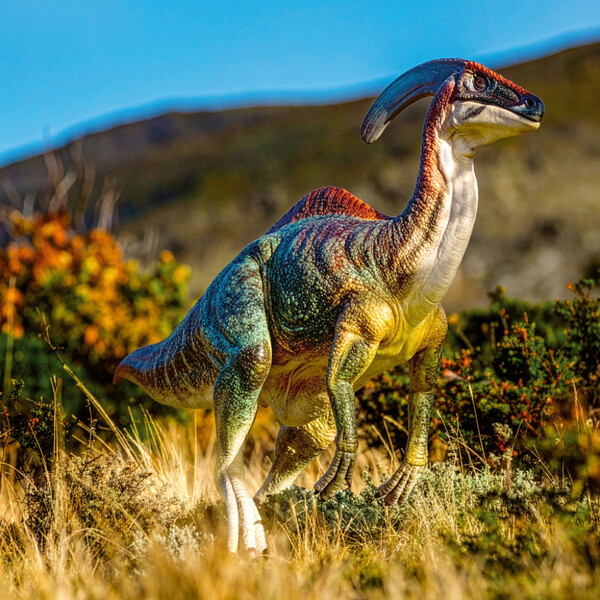 Notique Poznámkový Kalendář Dinosauři 2027, 30 x 30 cm - Východní