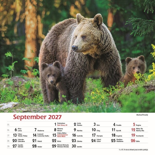 Nástenný Kalendár Les A Jeho Príbehy 2027
