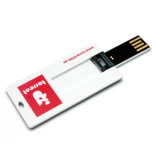 USB Flash drive TDC03 - PANTONE_1GB