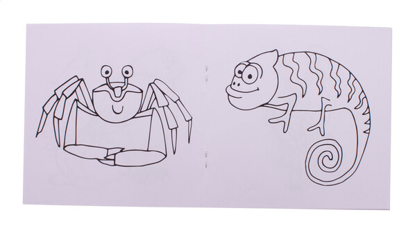 Custom Colouring Booklet ColoBook - Animals