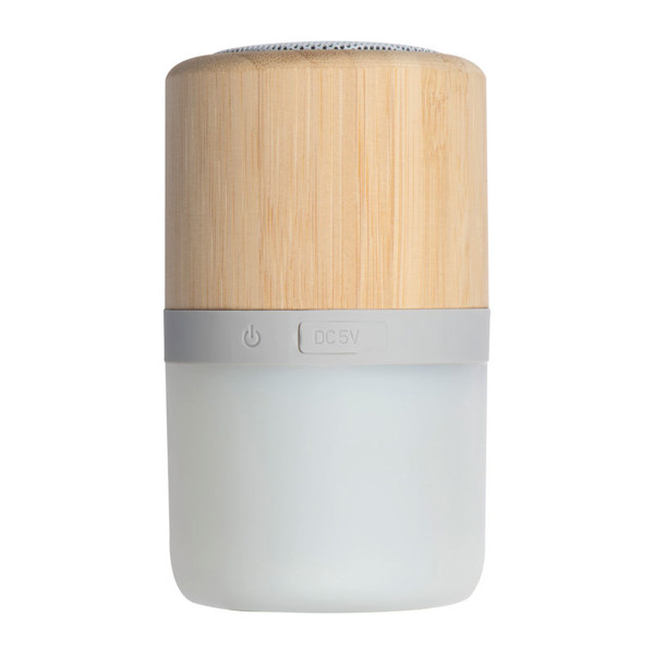 Bluetooth speaker Haarlem