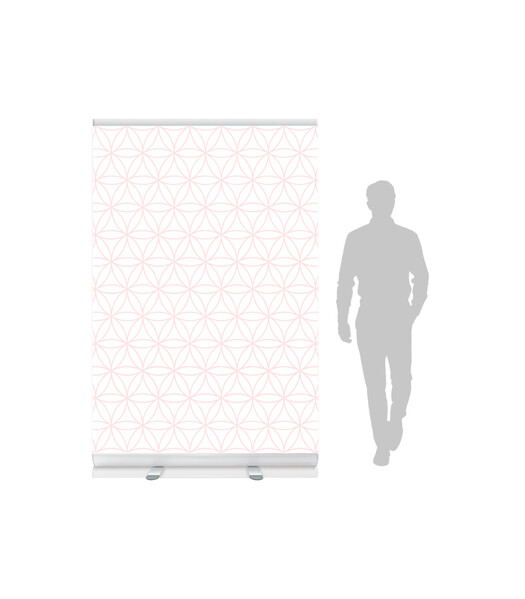 Roll-up Evolution  impressão incluída - 1200 mm