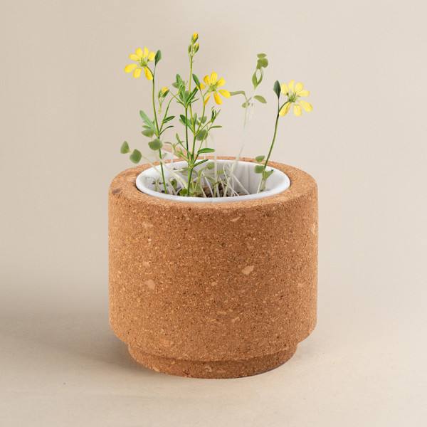 VASO LUWA