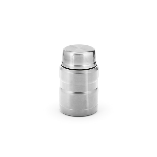 Dali 550 Food Flask - Silver