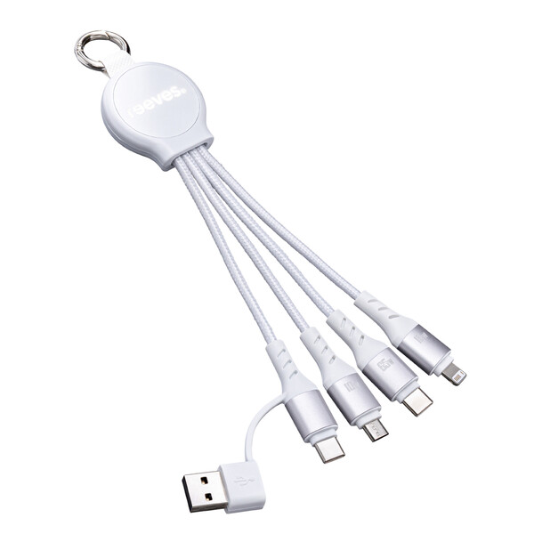 Câble de Charge 6 en 1 avec Lumière PUHALANI SWITCH - blanc / blanc