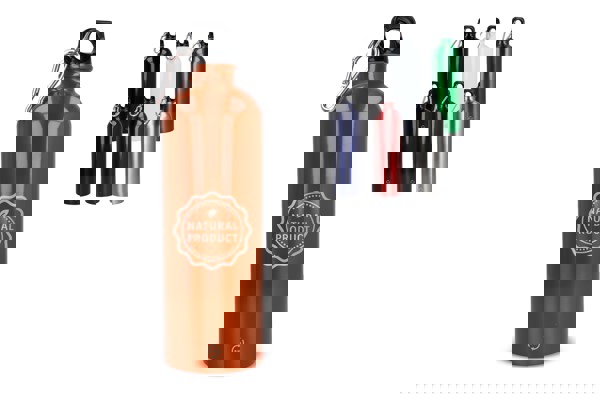 R-SS single wall bottle with carabiner 750ml - White