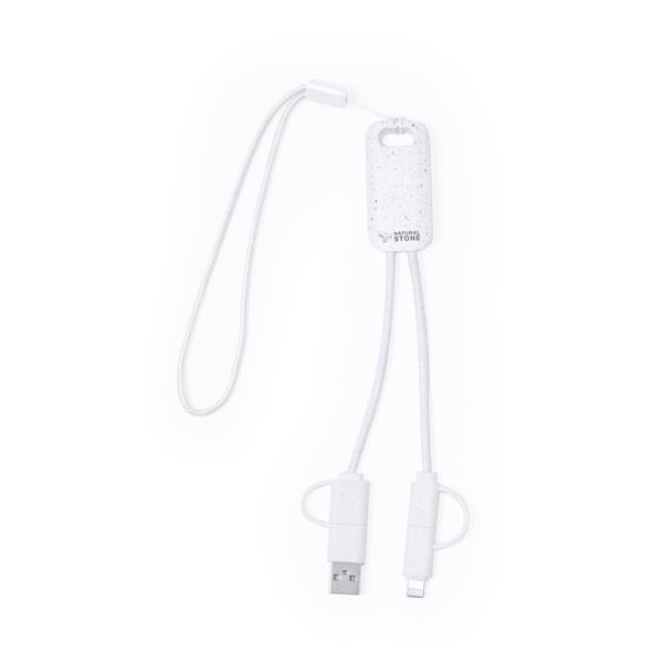 Câble de Charge Surgex