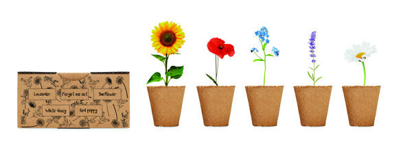 Flower growing kit, 5 seed types,paper box