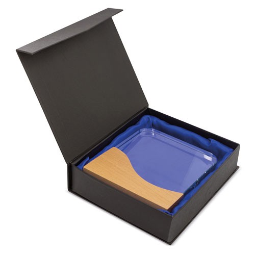TROFEO MODELO RECTANGULAR 10013