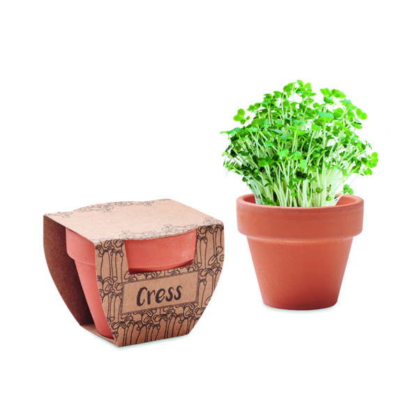 Cress Pot terracotta, priložena tableta za zemljo