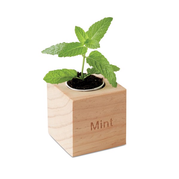 Menta herb pot, wood case, 75x75x75 mm