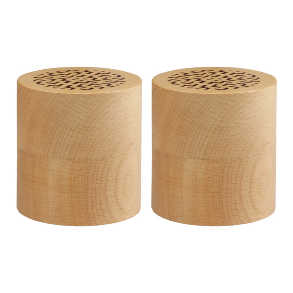 Enceintes (2) BT WOODSTOK