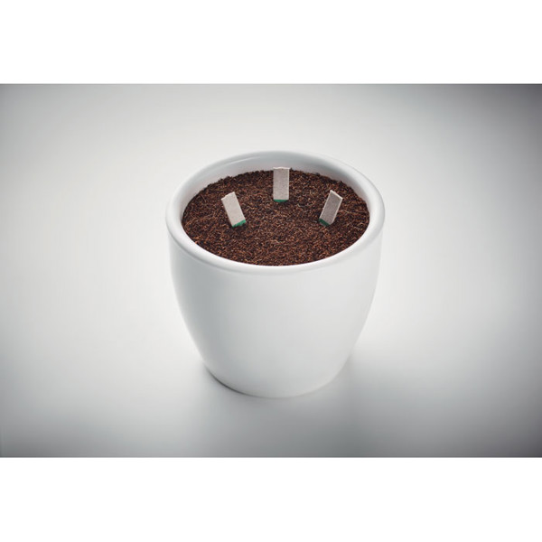 Seedsticks Leyti chives,basil,parsley,biodegradable