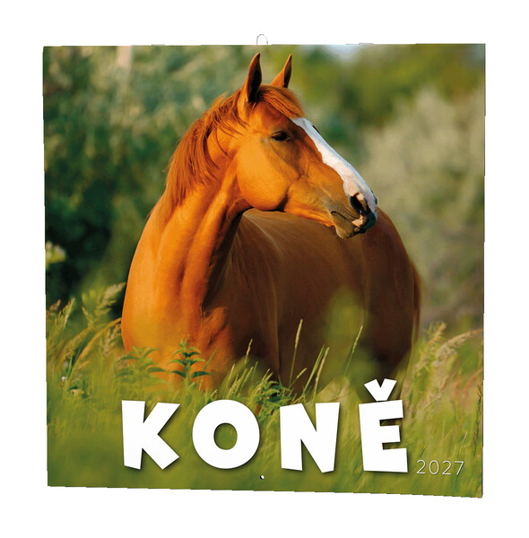 Nástěnný Kalendář - Koně