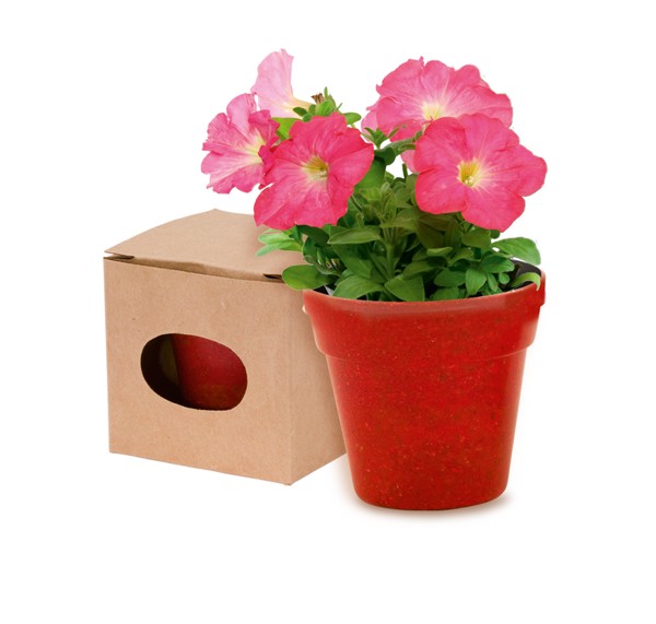 Pot de Fleurs Advert - Natural