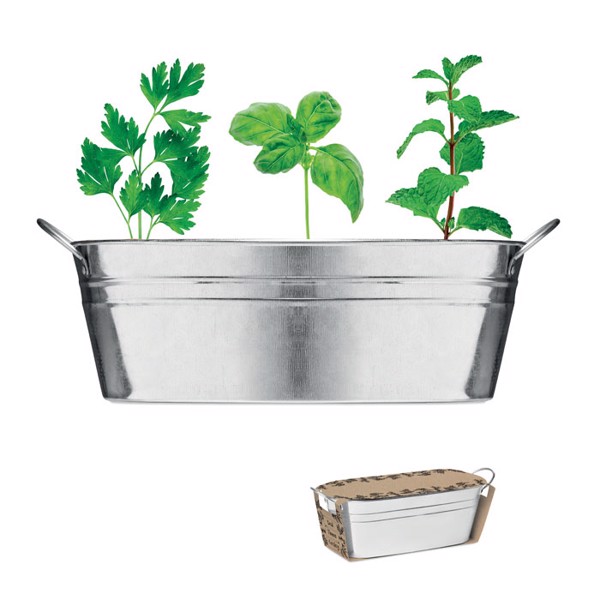 Zinc tub with 3 herbs seeds Mix Seeds