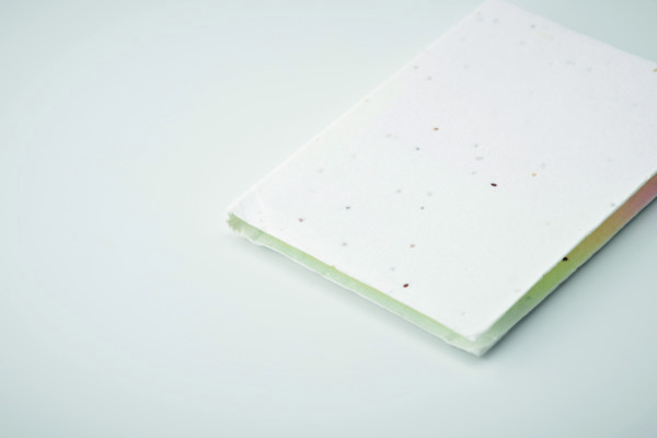 Bloc-notes en papier à planter Vison Seed