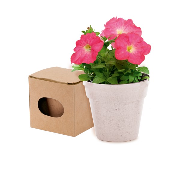 Pot de Fleurs Advert - Natural