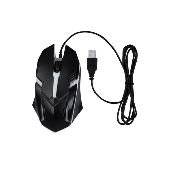 Souris Qinox