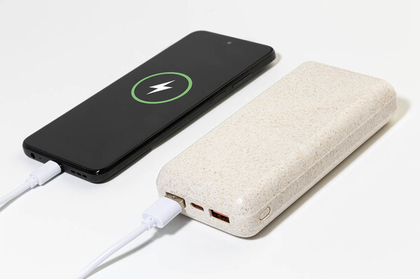 Power Bank Golblum