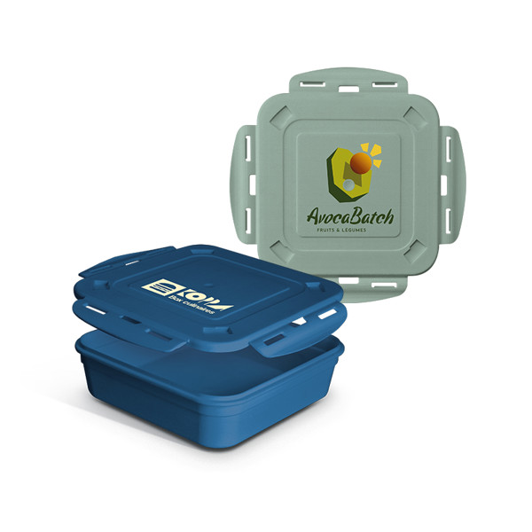 BOITE REPAS (LUNCH BOX) 1.2 l AVEC COUVERCLE, CUILLERE ET FOURCHETTE - Bleu / Rose