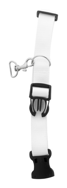 Custom Dog Collar Ziggy