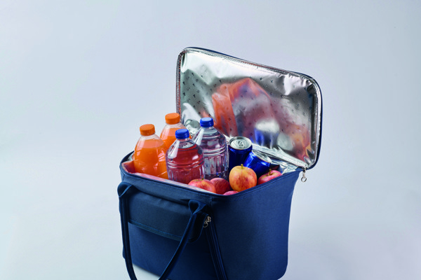 RPET picnic cooler bag Forus