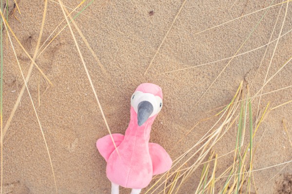 Peluche Flamingo Alicia