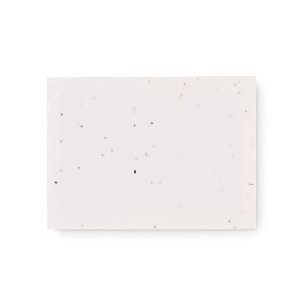 Vison Seed sticky note pad,seed paper cover