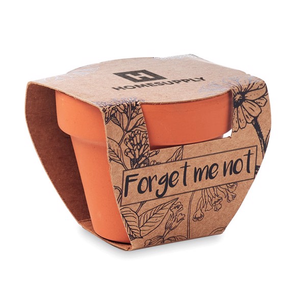 Terracotta pot, 60x55x50 mm, forget me not seeds