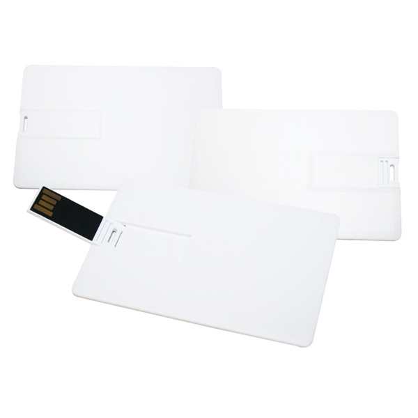 USB Flash drive TDC01 - PANTONE_1GB