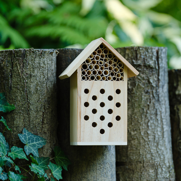 Bee Insect house