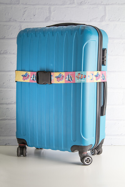 Ceinture pour valise Terminal