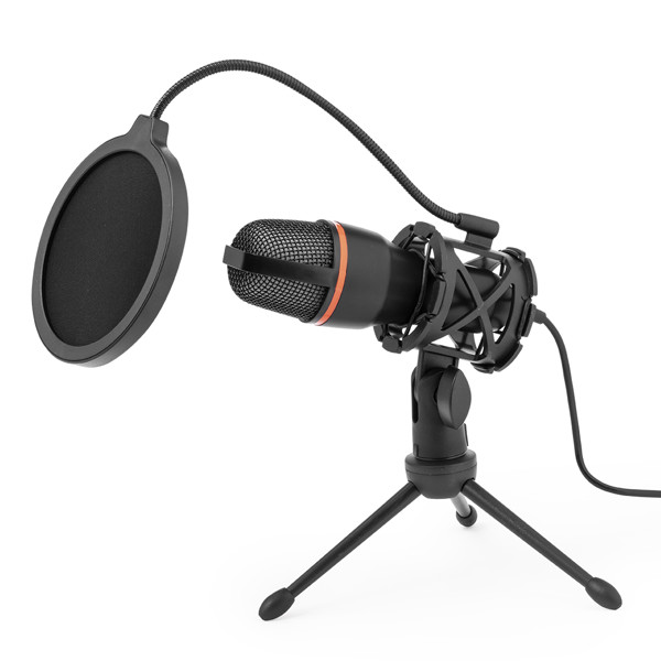 Microphone à Condensateur Densha
