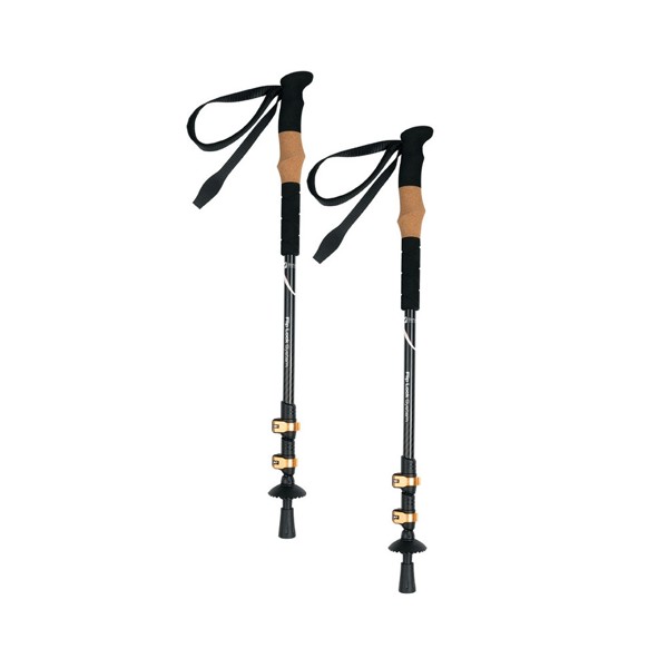 DENALI Trekkingstöcke