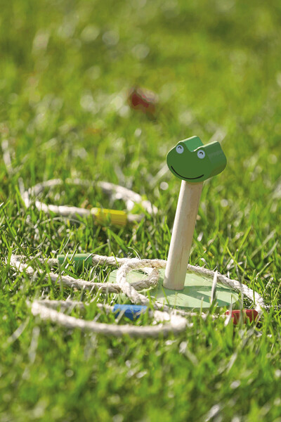 Ring Toss Game Crazy Loop