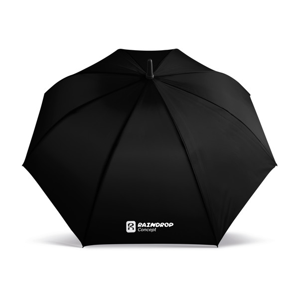 PARAPLUIE MANCHE CANNE 23" - Noir