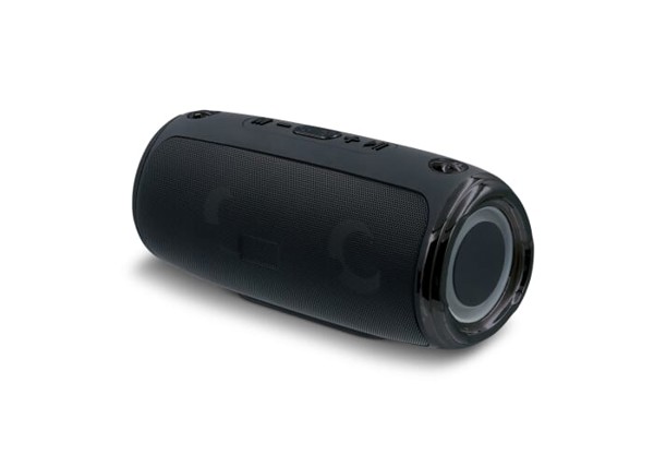 Large speaker with shoulder strap 20W