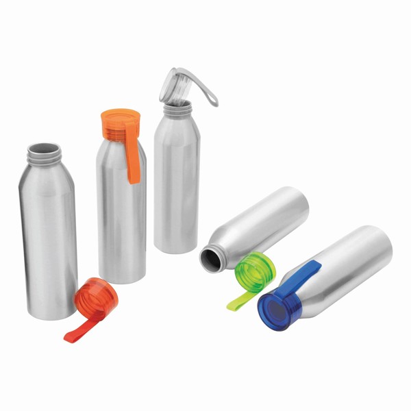 Aluminium Trinkflasche Coloured - Grau