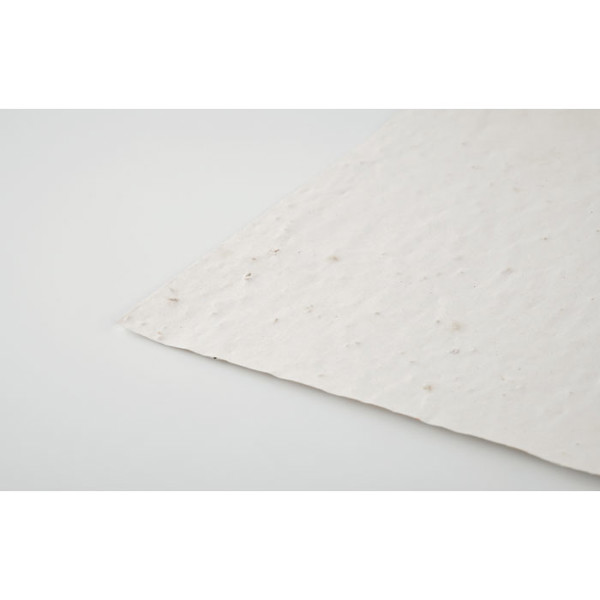 Semenski papir Asidi list A4, 80 g/m²