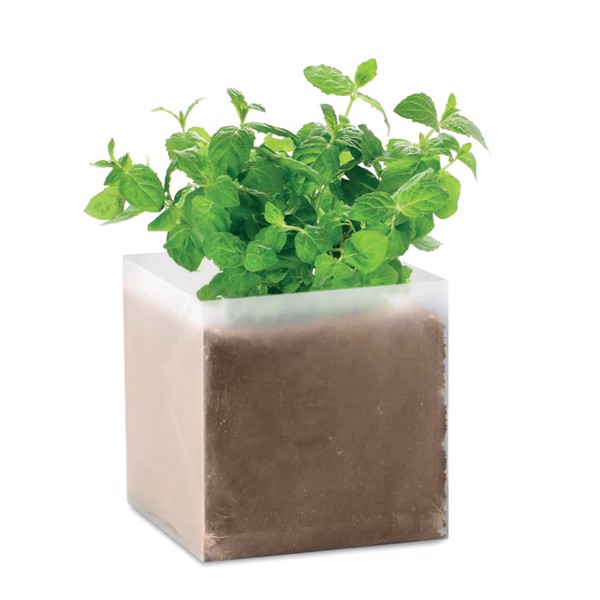 Mint seed bag, compost expands to 1L