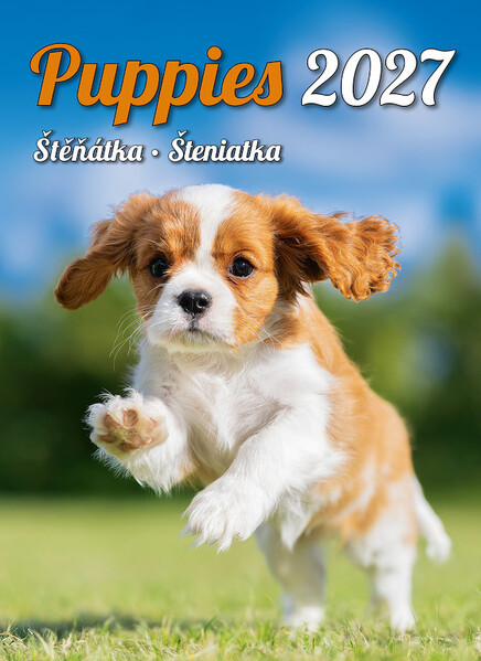 Calendar Puppies